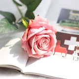Eternal Pink Rose